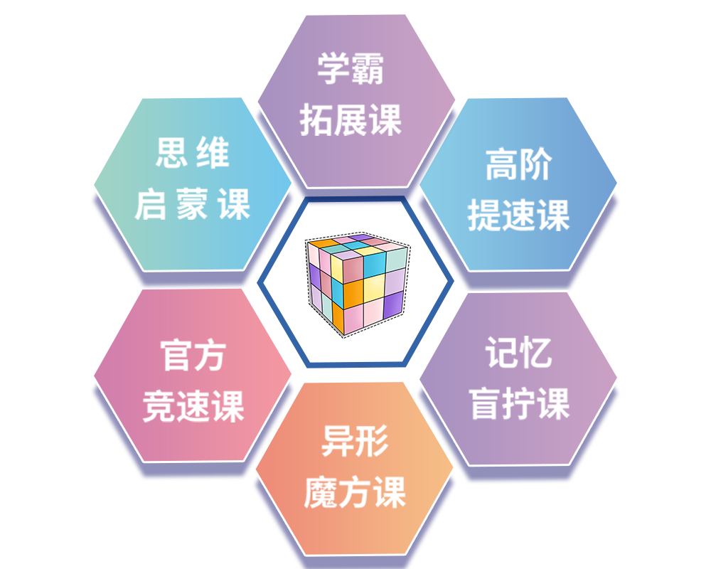 课程设置