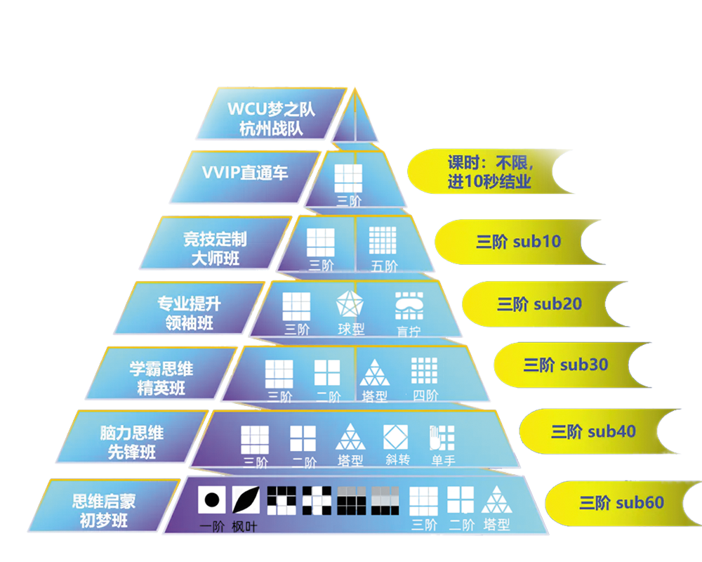 教学流程